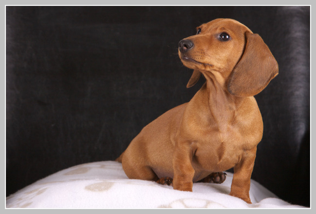 Binnenfotoshoot 14 weken