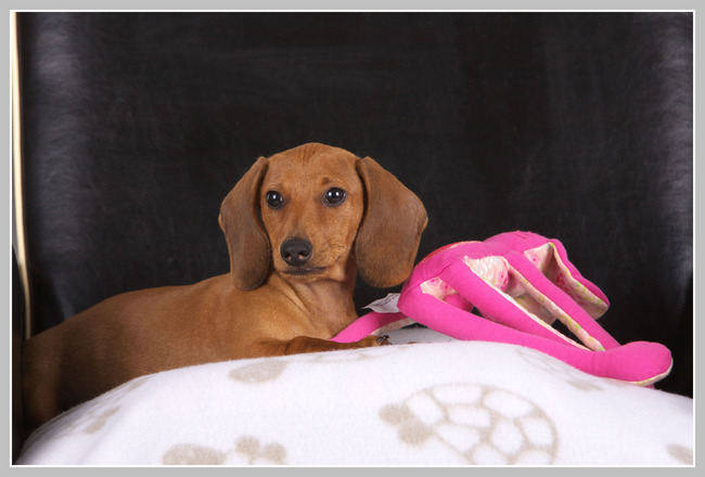 Binnenfotoshoot 14 weken