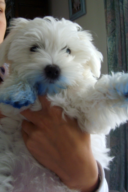 Ik had een blauw rookbommetje gevonden en daar heb ik lekker mee gespeeld in de regen