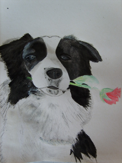 Lizzy getekend voor lotte