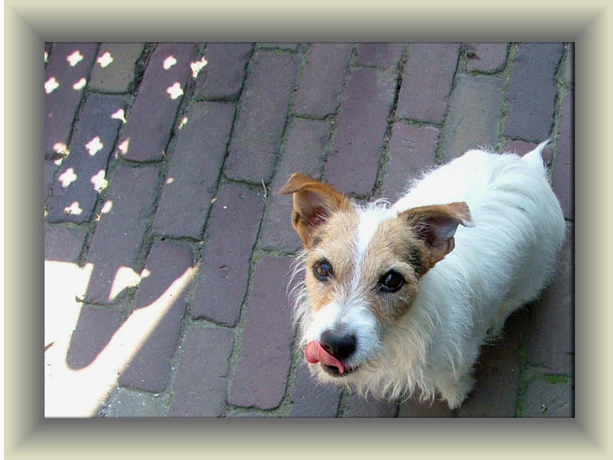 Het woord koekje werkt altijd bij ons Rainy :) Hier heb ik de foto bewerkt zodat het lijkt of ze in een doosje zit :)