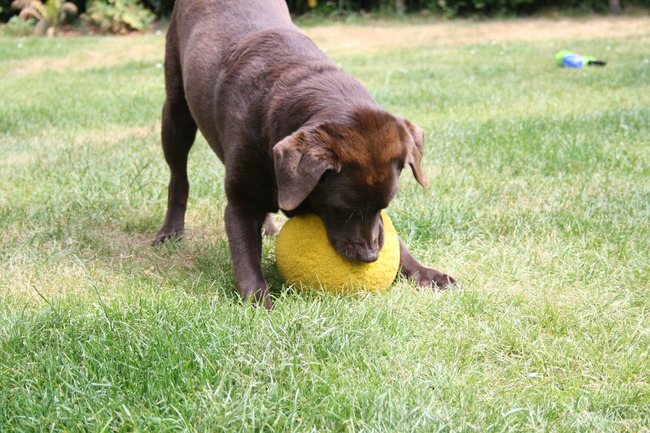 Lekker spelen met de bal