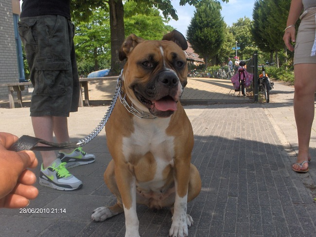 mooi zitten voor de foto