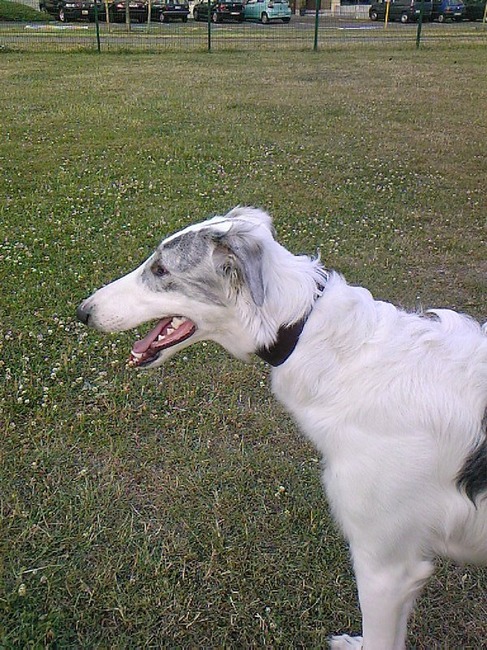 ik word al een grote jongen he ?