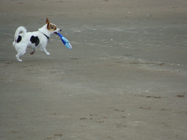 lekker op het strand