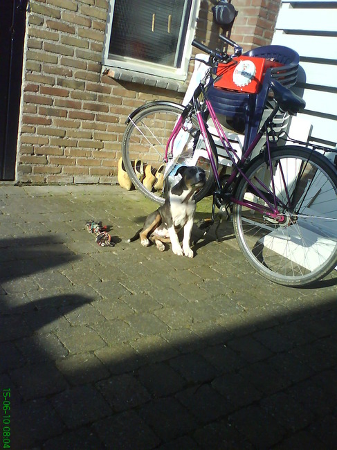 waar ging die vogel heen..?!?!