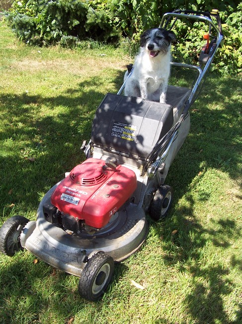 Rune en de grasmachine