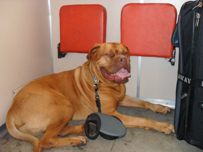 Ik ga op reis en ik neem mee???