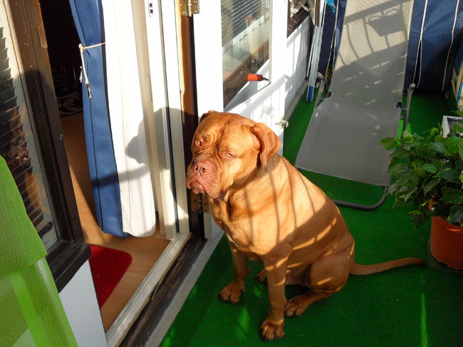 Lekker in het zonnetje