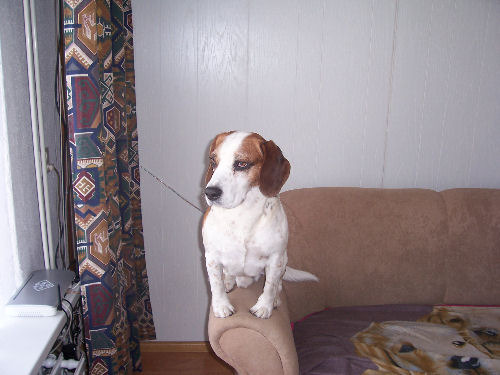 Max: hier zie ik het beter.