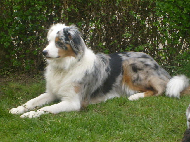 Op haar mooist liggen