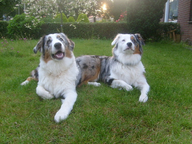 Mooi af liggen met zijn tweeen