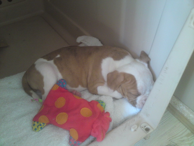 Het was voor James een vrmoeiende reis van Vlagtwedde naar Mijdrecht, bijna 3 uur