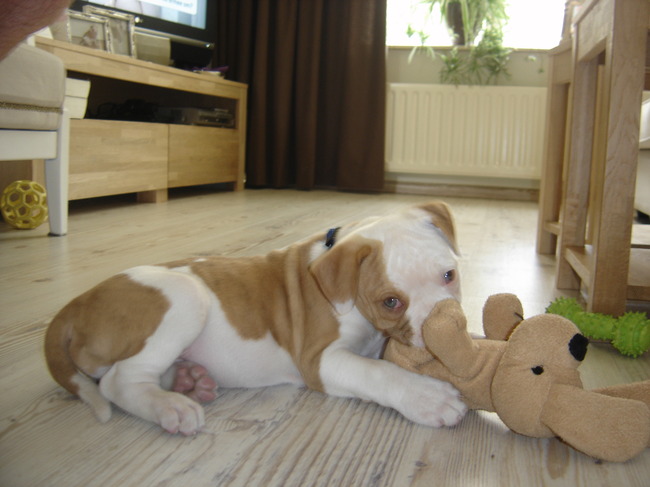 Op dag 5 al helemaal vertrouwd. en lekker spelen