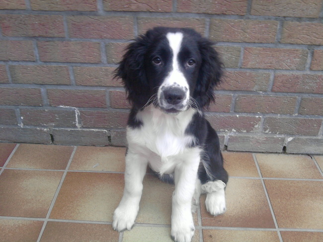 testo 3maanden en 2weken wat is hij al groot geworden 