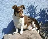 Nog een foto van Ricky van 2009