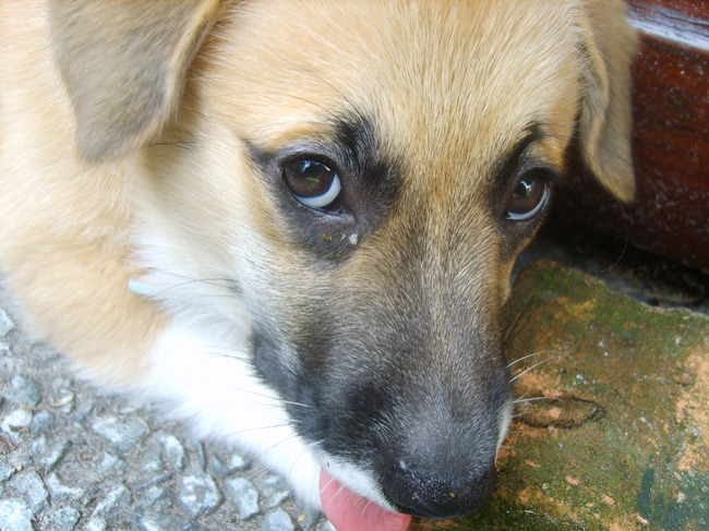 op stenen kauwen vind ik ook al zo lekker!