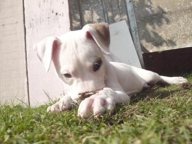 Hier zie je al vind ik dat ze echt ook deugenieten streken heeft