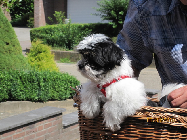 Boyke mee met de fiets