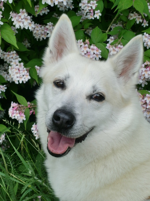 Net voor de foto de andere kant op kijken hè ;)