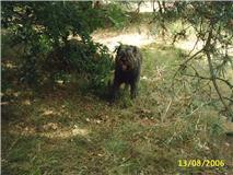mijn meisje niza ik mis haar zo