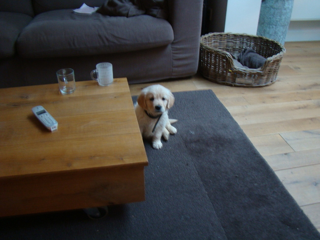 Oh wat was hij klein