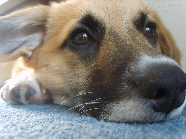 ik ben lekker lui vandaag