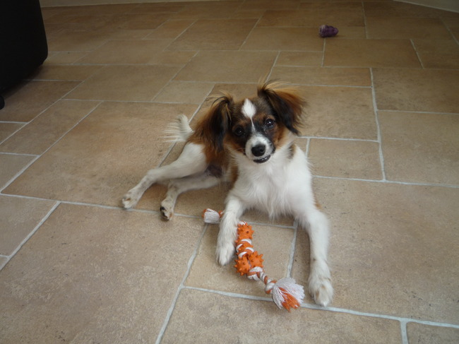 Weer een nieuw speeltje.