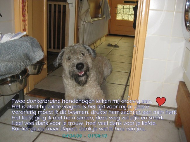 Afscheid van mijn blonde vriendje 01-09-2010