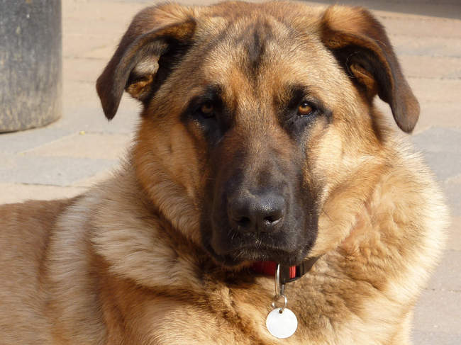 heb ik iets van je aan?