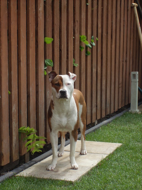 Wat een plaatje he ;)