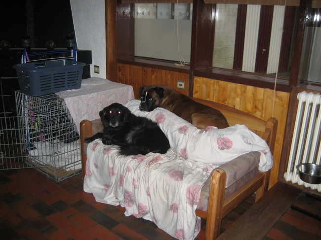 Een echt koppeltje waren ze