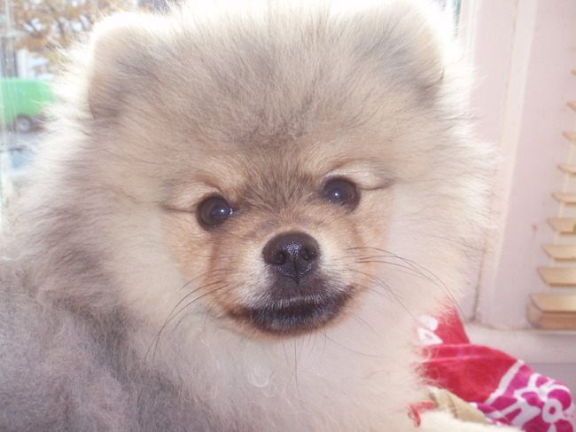 Mijn knapperd is alweer 19 weken