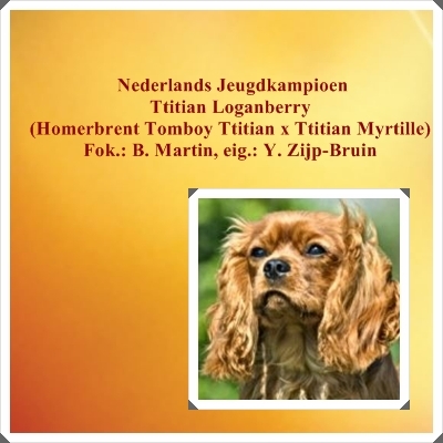 Dit is een van de honden van onze fokker van Binky