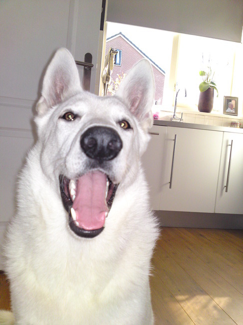 Snow is nu bijna 9 maanden