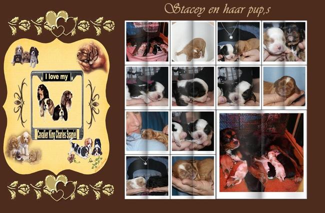 Gemaakt voor een vriendin Bianca