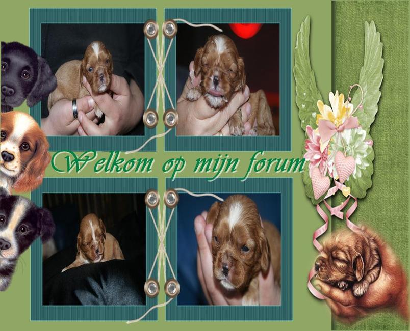 gemaakt voor vriendin Bianca