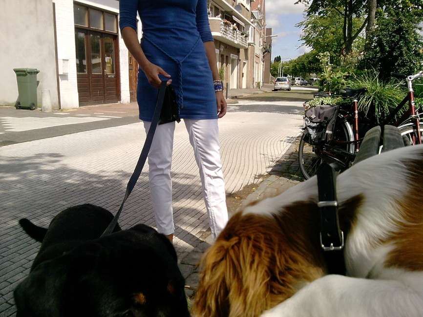 Mijn groote vriend guus.