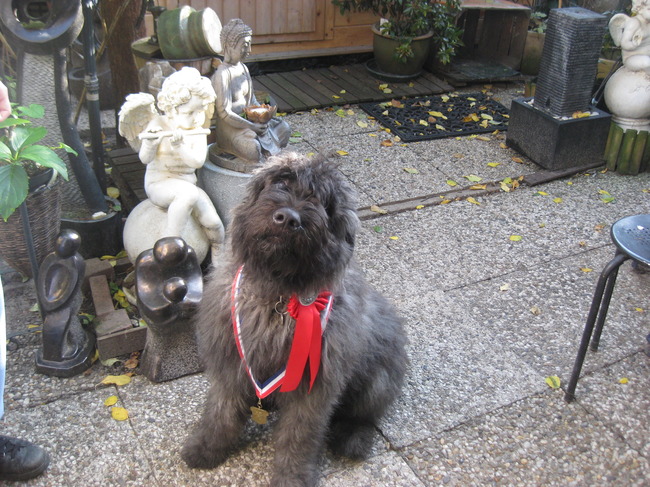 dit heb ik gewonnen op de club match 11-09-2010