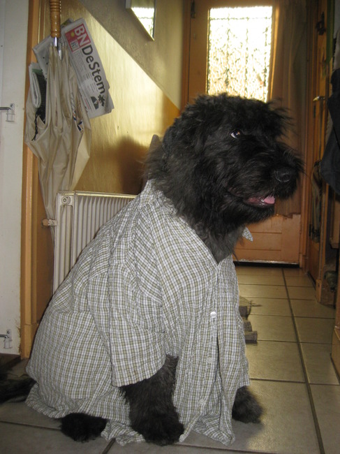 nou ik vertik het om hier in te lopen