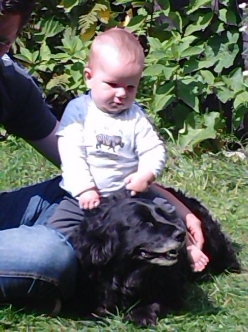 Mungo & Cato 2009 (inmiddels is Cato te groot om Mungo te 