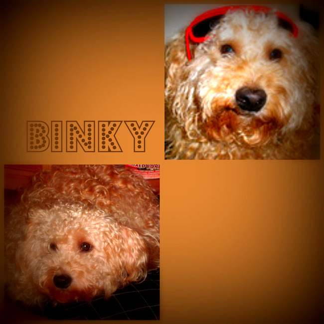 binky!!!!!