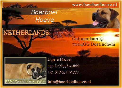 Onder de naam Boerboel Hoeve zijn wij in het oosten des land…