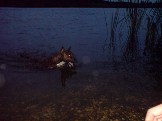 Chica swimming in the night 