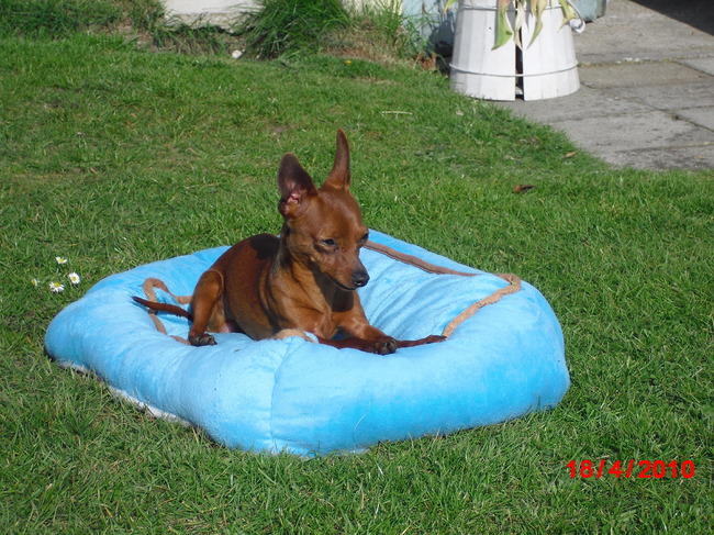 en als ik gewonnen heb van de mand, lekker chillen :-)