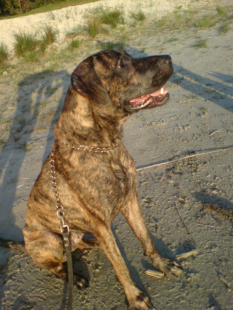 Terra was hier aan het bijkomen van haar eerste zwemles 