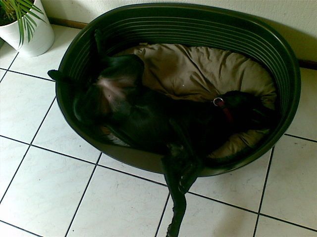 zo slaap ik het liefst