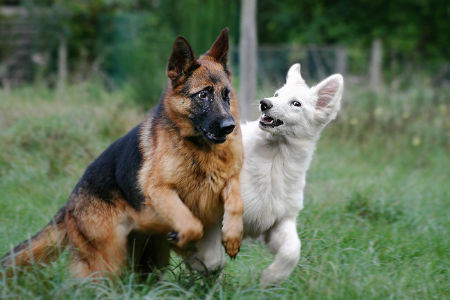 Moteq en Pebbles, stout :P