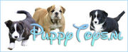 PuppyToys.nl