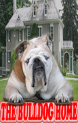 The Bulldog Home